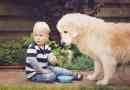 Posso dare le patatine al mio cane??