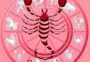 Caratteristiche di uno scorpione