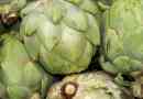Come scegliere i carciofi