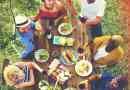 Come organizzare un brunch o una festa per la colazione