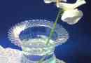 Come fare un vaso usando una bottiglia di plastica