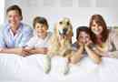 Come rimuovere l'odore di cane da casa mia?