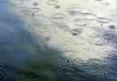 Come sapere se sta per piovere