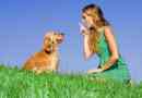 Quali sono le razze di cani più facili da addestrare?