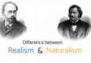 Qual è la differenza tra realismo e naturalismo in letteratura