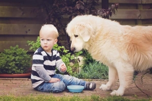 Posso dare le patatine al mio cane??