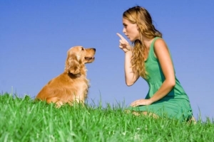 Il mio cane mi capisce??