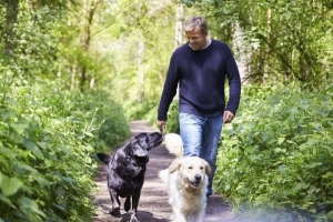 Quante volte al giorno dovresti portare a spasso un cane?