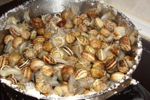 Come pulire e cucinare le lumache