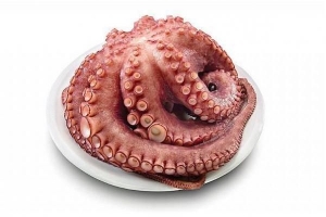 Come cucinare il polpo tenero