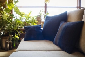 Come decorare il soggiorno con le piante