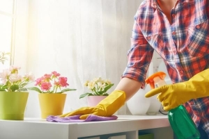 Come disinfettare la tua casa da batteri e virus