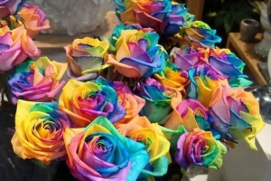 Come tingere i fiori freschi (rose e garofani)