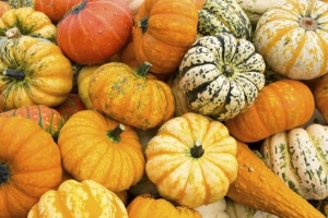 Come congelare la zucca