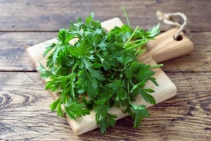 Come mantenere il coriandolo fresco più a lungo