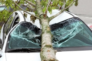 Come sapere se il telaio della tua auto è piegato