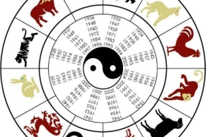 Come conoscere il mio segno zodiacale cinese per data di nascita