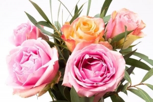 Come far durare più a lungo un mazzo di rose