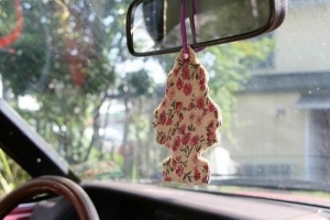 Come fare un deodorante per auto a casa?