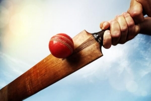 Come costruire una mazza da cricket in casa