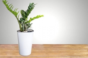 Come fare un vaso di fiori con la carta