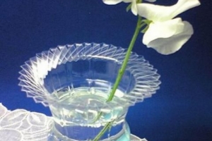 Come fare un vaso usando una bottiglia di plastica