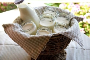 Come fare lo yogurt di soia in casa?