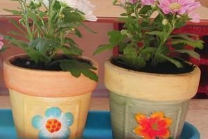 Come dipingere un vaso per piante?