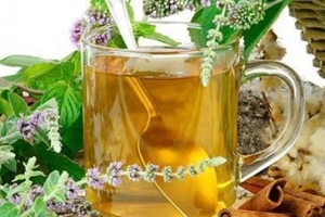 Come preparare un infuso di salvia