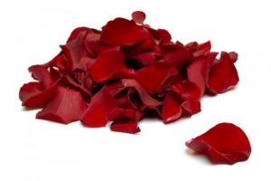 Come conservare i petali di rosa freschi