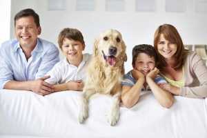 Come rimuovere l'odore di cane da casa mia?