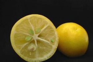 Come usare il limone per pulire?