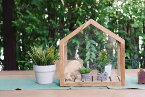 Idee per decorare con le piante