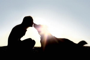 La sterilizzazione fa bene ai cani??