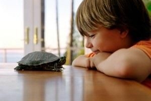Quali sono i migliori animali domestici per i bambini con asma?
