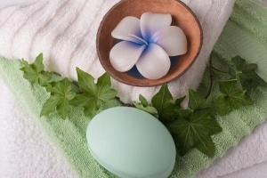 Quali sono le migliori piante per il bagno?