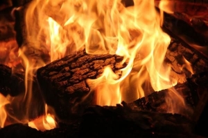 Quali sono i segni di fuoco dello zodiaco?