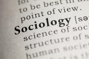 Quali sono le branche principali della sociologia??