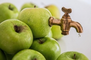 Cosa significa succo spremuto a freddo?