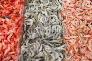 Qual è la differenza tra un gambero e un gambero
