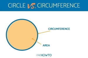 Qual è la differenza tra cerchio e circonferenza??