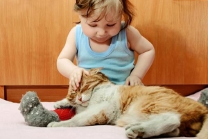 Perché il mio gatto dorme sopra di me?